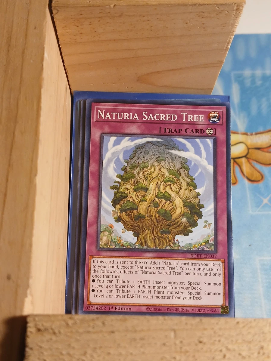 Naturia Deck for sale | eBay Naturia Deck for sale | eBay