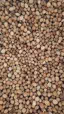 CHERRY PITS VARIOUS SIZES 5 LBS.  Bean Bags, Dried DIY Packs & Crafting