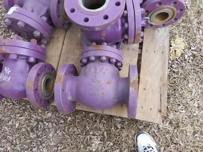 3" check Valve Steel WCC Body 900 class Unused inch