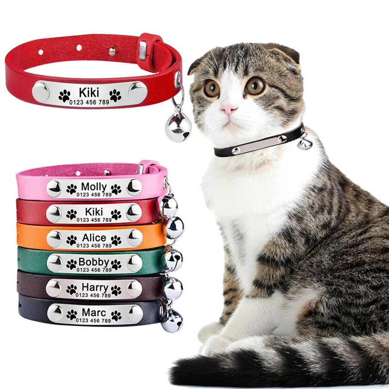 Personalised kitten collar hot sale