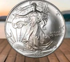 1994 SILVER EAGLE 2ND RAREST EAGLE ~ LOOKING FOR A GORGEOUS ONE 4 U? HERE YA GO!