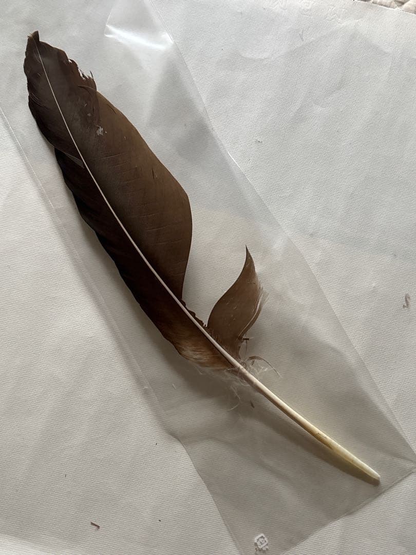 Peacock Ostrich Quill Fly Tying Material Set w/ CDC Included - Image 2