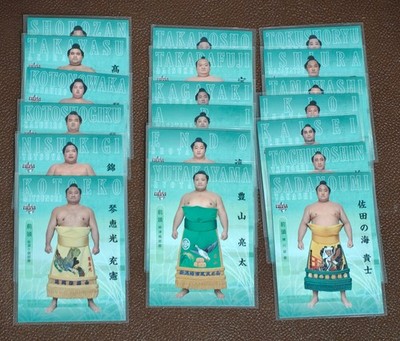 Auswahl 2020 BBM SUMO Maegashira Wrestler Trading Cards 