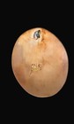 ♤ Extremely Detailed Handcarved Haida Salmon & Orca In Copper By Alfred Seaweed♤ — photo 6