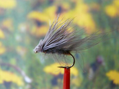 Trockenfliege '' CDC Elk Caddis ''  3er Set