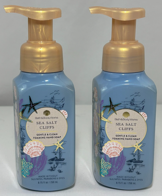 2 PACK Bath & Body Works SEA SALT CLIFFS Gentle Foaming Hand