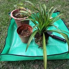 Foto 11 di 15