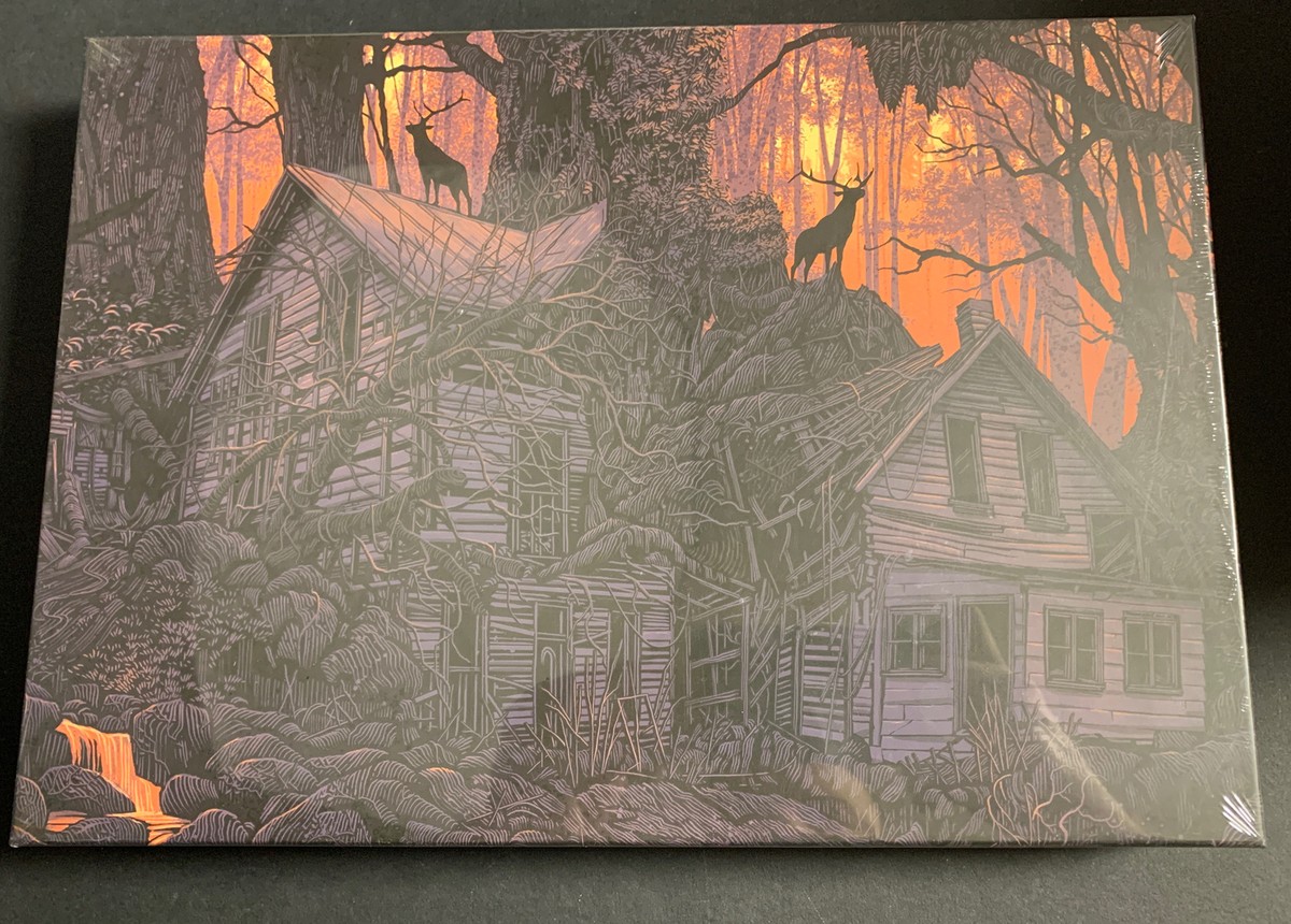 DANIEL DANGER 'when do we see' 1000 Pc Mondo Puzzle Limited /500