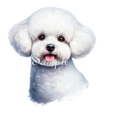 BICHON FRISE -Fabric Art Quilt Block/Panel - Dog Breed Portrait  100% Cotton #94