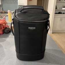 Igloo Luxe Collection 2 Bottle Insulated Cooler Tote Bag  display picture 3