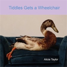 Tiddles Gets a Wheelchair (Paperback or Softback)