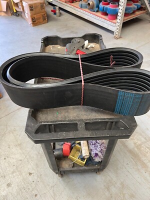 Courroie Trapézoïdale Bandée D&D PowerDrive 4-8V1120 - 8V, 1x112 Pouces, 4 Brins, Neuve