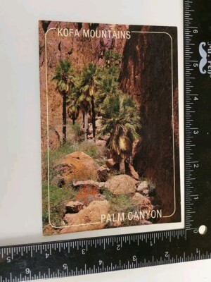Arizona Kofa Mountain Palm Canyon Vintage Chrome Postcard Unposted 