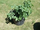 Picture 3 of 5