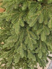Luxury REALISTIC Christmas Tree 6ft 7ft 7.5ft 8ft 5ft 10ft 'Koval Solid Cast'SEE