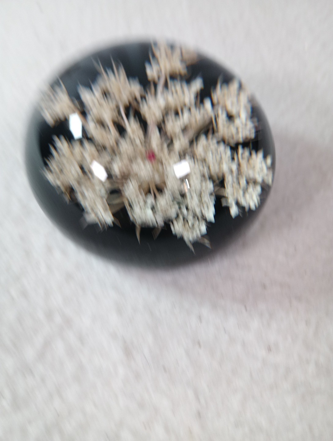 Picture 4 of 8