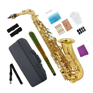 Saxophone Repair Kit | eBay
