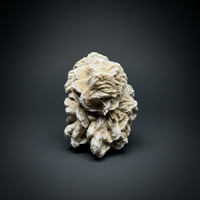 Desert Rose Selenite (Gypsum) — Mineral Display Specimen | Mexico