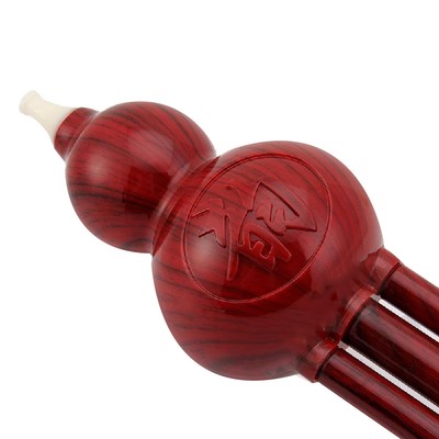 Chinese Cucurbit Flute (Hulusi) - Traditional Gourd Instrument For Beginners, Includes Case, C Tone