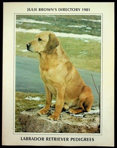 Julie Brown's Directory To Labrador Retriever Pedigrees 1981 Dog Book W/ Photos