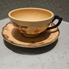 Franciscan Cafe Royal Teacup 4" and Saucer 6"