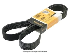 BMW F07 F10 8K X 1478 Alternator, A/C, Power Steering Belt CONTITECH OEM