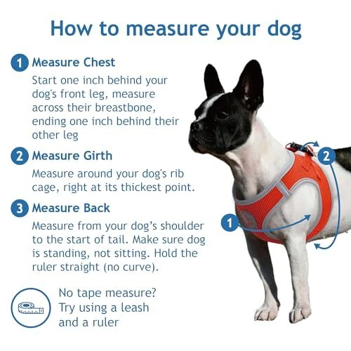 Dog Harness │ Athletica Puppy Harness for Small X Large (Chest: 20.5-22") Lime