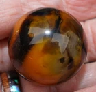 1-5/32" Marble Mad River Agate Vintage Hand Ground Bullseye  Mar661