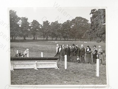 Windhundrennen Hürdensprung Zuschauer Charles E Brown um 1930 Vintage Foto