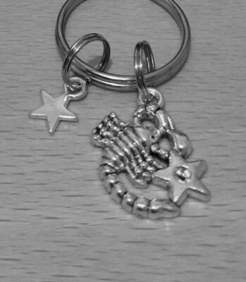 Super kleiner Schlüsselanhänger ''Skorpion Sternzeichen'' Bagcharm wunderbar nützliches Geschenk    ️  