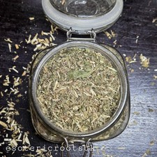 CATNIP 25g Nepeta Cataria ✨️ Ritual Herb Pagan Witchcraft Folk
