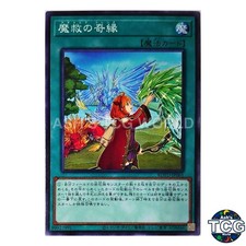 yugioh rise of the duelist card list price Yu-Gi-Oh! TCG: Booster Display (24) : Toys & Games Duelists Advance Rise of the Duelist Booster