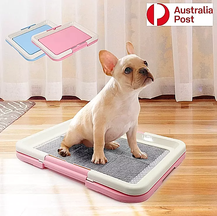 Puppy trays hotsell