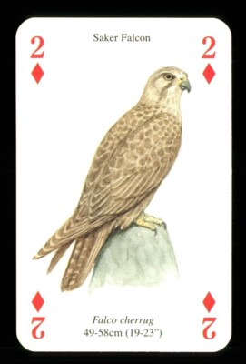 1 x Spielkarte Greifvögel - Saker Falke - 2 of Diamonds - ZU 01