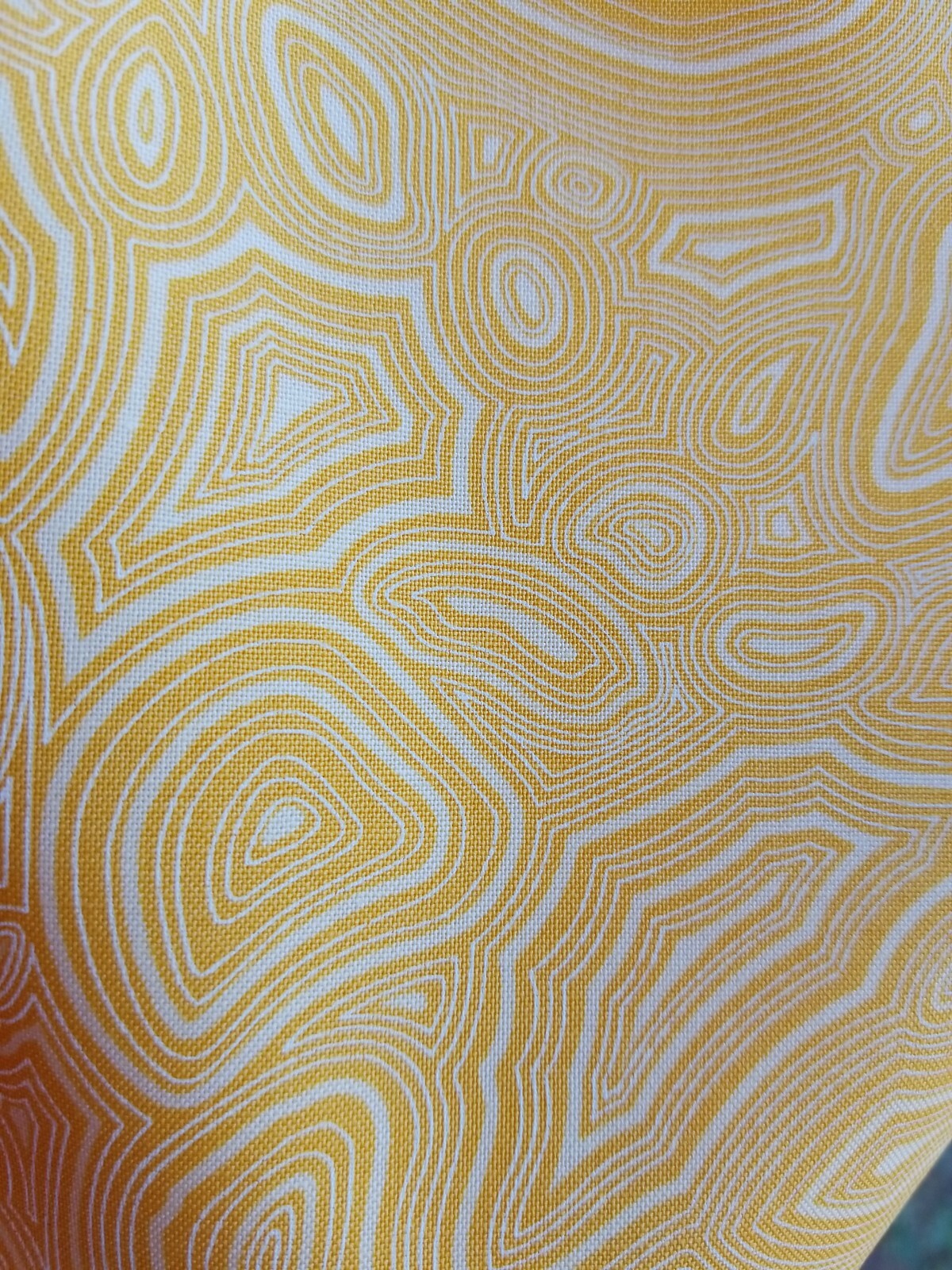 Picture 5 of 5