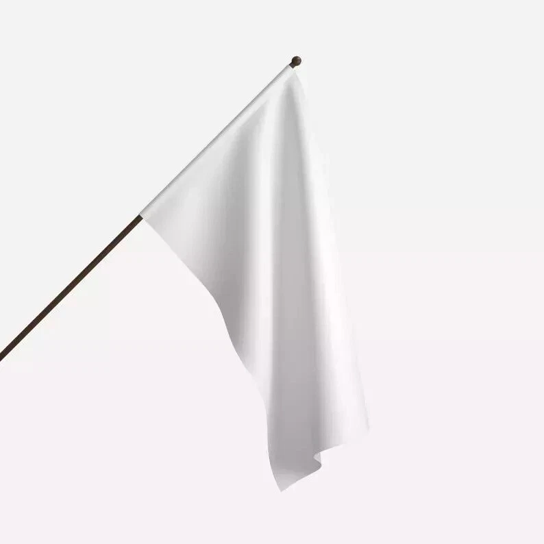 Florida Panthers 3D House Flag