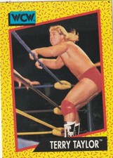 FREE SHIPPING-MINT-1991 Impel WCW Terry Taylor #74