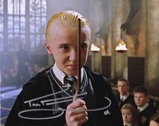 TOM FELTON signed autograph 20x25cm HARRY POTTER in person autograph ACOA
