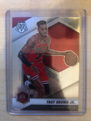 2020-21 Panini Mosaic #11 Troy Brown Jr. - Chicago Bulls