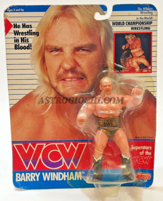 WCW SUPERSTARS BARRY WINDHAM GALOOB VINTAGE 1990 NEW IN BOX WRESTILNG