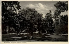 Botanical Gardens Dar es Salaam vintage postcard a145