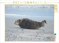 Calvendo Puzzle Robbe Am Strand Von Helgoland | 1000 Teile Lege-GrößE 64X48Cm Fo