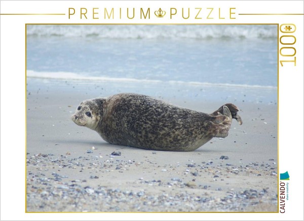 Calvendo Puzzle Robbe Am Strand Von Helgoland | 1000 Teile Lege-GrößE 64X48Cm Fo-image
