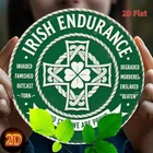 2D Flat Vintage-Inspired IRISH ENDURANCE Themed Tin Metal Signs Home Décor 8x8
