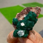 Foto 17 di 24