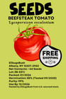 40 500 Bulk Beefsteak Tomato Seeds Free Shipping USA 