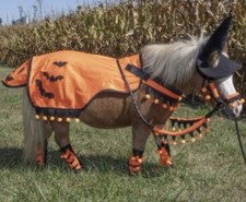 Miniature Horse Harness Set 5 Piece Halloween Mini Orange Black 95-7774MN New