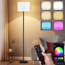 Led Floor Lamp Modern with Remote Control RGB Living Room Lighting Contemporary