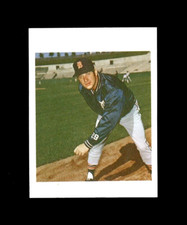 1975 HOSTESS BLANK BACK PROOF NNO #6 MICKEY LOLICH DETROIT TIGERS ONLY 2-3 EXIST