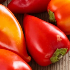 Feherozon Paprika Pepper Improved Seeds (Sweet), Organic